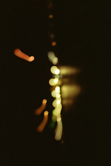 &copy;2009 Marcel Hernandez